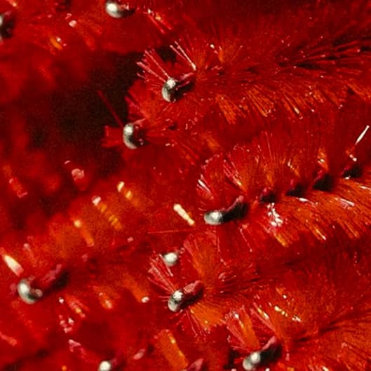 The Brow Glow Club at That Glow Girl Beauty Bar in Whittier, CA